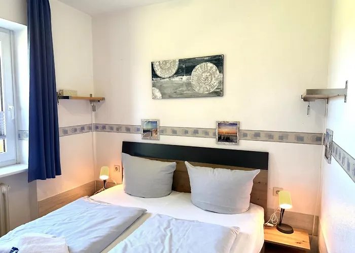 Herzmuschel Wyk Daire Wyk auf Föhr