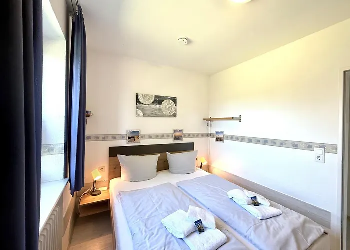 Daire Herzmuschel Wyk Wyk auf Föhr